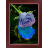 Набор для рисования камнями 5D-033 Lasko Голубая роза фото