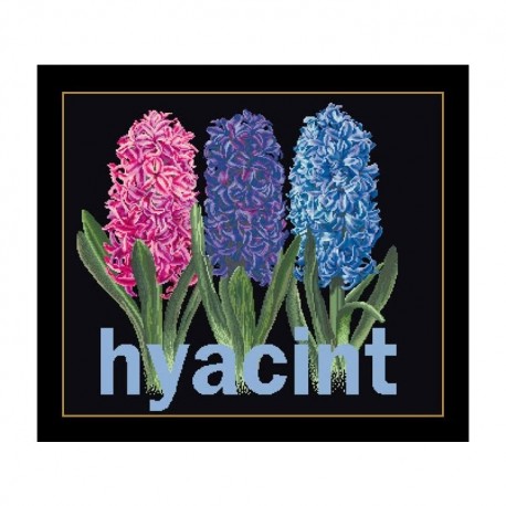 Hyacinth Black Aida Набір для вишивання хрестиком Thea Gouverneur gouverneur_434.05