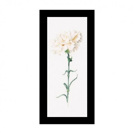 Carnation White Aida Набор для вышивки крестом Thea Gouverneur gouverneur_466A