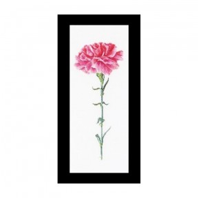 Carnation Pink Aida Набор для вышивки крестом Thea Gouverneur gouverneur_467A