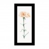 Carnation Peach Aida Набір для вишивання хрестиком Thea Gouverneur gouverneur_468A