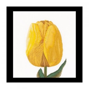 Yellow hybrid tulip Linen Набір для вишивання хрестиком Thea Gouverneur gouverneur_522