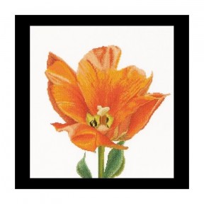 Orange Triumph tulip Linen Набір для вишивки хрестиком Thea Gouverneur gouverneur_523