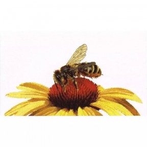 Bee on Yellow Echinacea Linen Набір для вишивання хрестиком Thea Gouverneur gouverneur_585