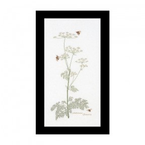 Cow Parsley Linen Набор для вышивки крестом Thea Gouverneur gouverneur_1067