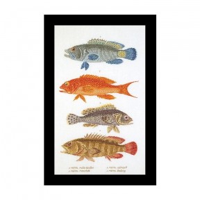 Fish Panel Linen Набір для вишивання хрестиком Thea Gouverneur gouverneur_2044