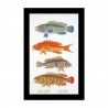 Fish Panel Linen Набір для вишивання хрестиком Thea Gouverneur gouverneur_2044