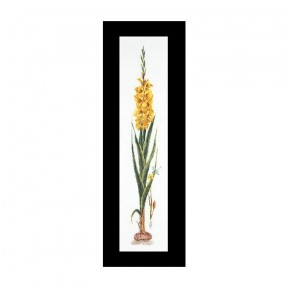 Gladioli Yellow Linen Набор для вышивки крестом Thea Gouverneur gouverneur_3072