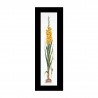 Gladioli Yellow Linen Набор для вышивки крестом Thea Gouverneur gouverneur_3072