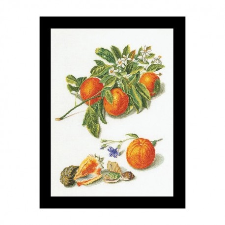 Oranges & Mandarins Linen Набір для вишивання хрестиком Thea Gouverneur gouverneur_3061