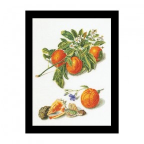 Oranges & Mandarins Aida Набір для вишивання хрестиком Thea Gouverneur gouverneur_3061A