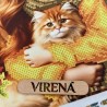 Девочка с котом. Осень Схема для вышивания бисером Virena А4Н_605