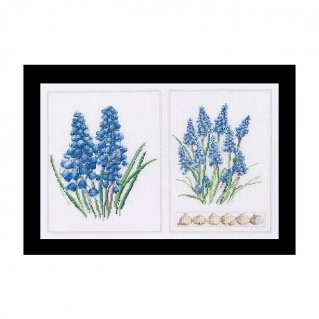 Muscari Panel Aida Набір для вишивання хрестиком Thea Gouverneur gouverneur_443A