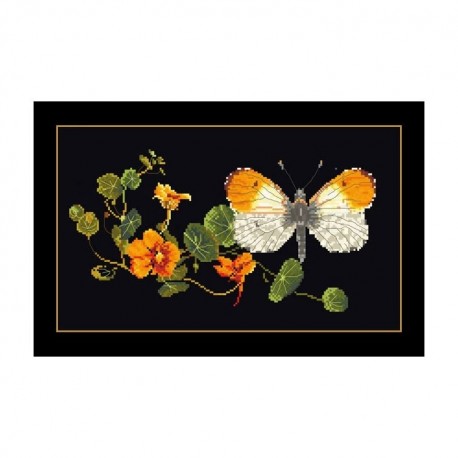 Butterfly-Nasturtium Black Aida Набор для вышивки крестом Thea Gouverneur gouverneur_437.05