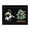 Snowdrops Panel Black Aida Набір для вишивання хрестиком Thea Gouverneur gouverneur_446.05