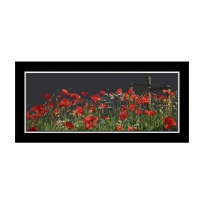 Poppies Black Aida Набор для вышивки крестом Thea Gouverneur gouverneur_546.05