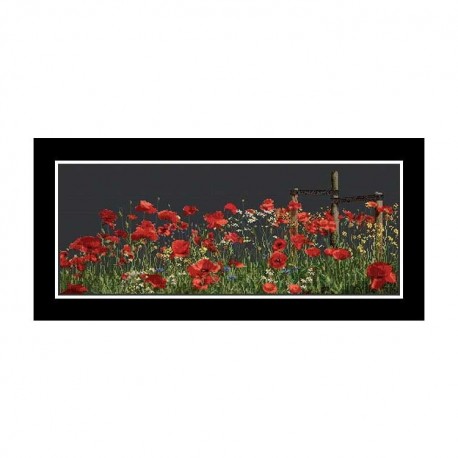 Poppies Black Aida Набір для вишивання хрестиком Thea Gouverneur gouverneur_546.05