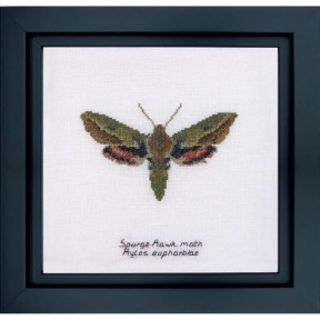 Spurge Hawk moth Linen Набор для вышивки крестом Thea Gouverneur gouverneur_565