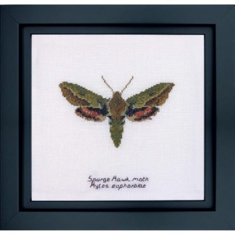 Spurge Hawk moth Linen Набір для вишивки хрестиком Thea Gouverneur gouverneur_565