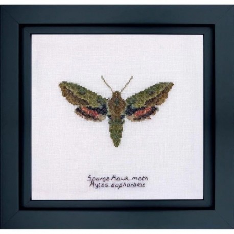 Spurge Hawk moth Aida Набор для вышивки крестом Thea Gouverneur gouverneur_565A