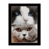 Cats Smokey + Blu Aida Набір для вишивки хрестиком Thea Gouverneur gouverneur_542A