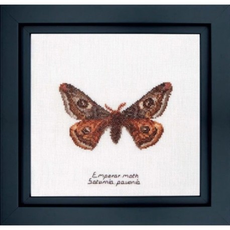 Emperor moth Aida Набір для вишивання хрестиком Thea Gouverneur gouverneur_562A