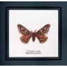 Emperor moth Aida Набір для вишивання хрестиком Thea Gouverneur gouverneur_562A