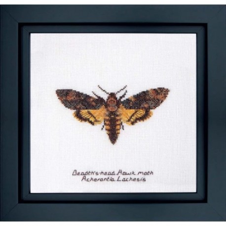 Death's-head Hawk moth Aida Набор для вышивки крестом Thea Gouverneur gouverneur_563A