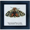 Harnessed Tiger moth Aida Набір для вишивання хрестиком Thea Gouverneur gouverneur_569A