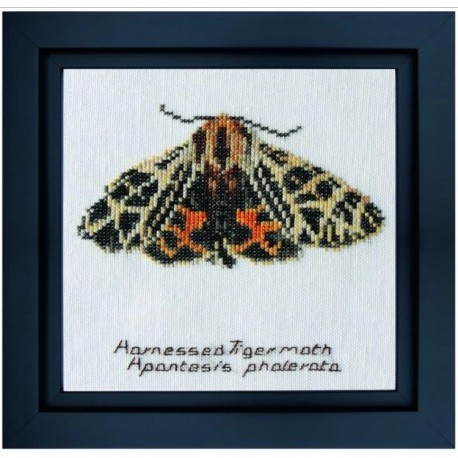 Harnessed Tiger moth Linen Набір для вишивання хрестиком Thea Gouverneur gouverneur_569