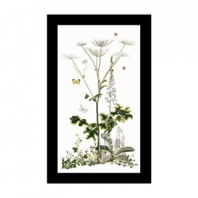 Heracleum Sibericum Aida Набір для вишивки хрестиком Thea Gouverneur gouverneur_967A