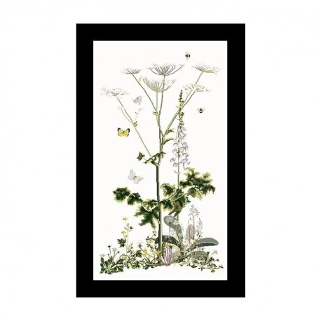 Heracleum Sibericum Aida Набор для вышивки крестом Thea Gouverneur gouverneur_967A