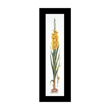 Gladioli Yellow Aida Набір для вишивання хрестиком Thea Gouverneur gouverneur_3072A