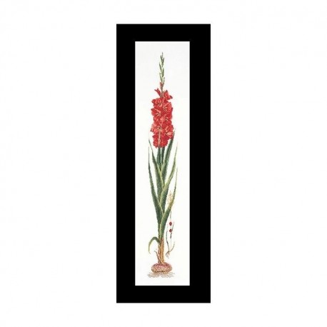 Gladioli Red Aida Набір для вишивання хрестиком Thea Gouverneur gouverneur_3073A