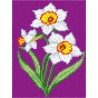 Букет нарциссов Канва с нанесенным рисунком Чарівниця D-52