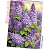 Сирень Схема для вышивания бисером Biser-Art A541ба