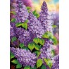 Бузок Схема для вишивання бісером Biser-Art A541ба