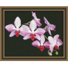 Набор для вышивки крестом Юнона 0116 Ветка орхидеи фото