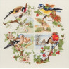 Набор для вышивания Anchor PCE880 Birds And Seasons/ Птицы всех