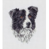 Набір для вишивання Anchor PCE219 Border Collie / Бордер-коллі