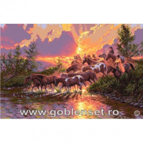 Набір для вишивання гобелен Goblenset G976