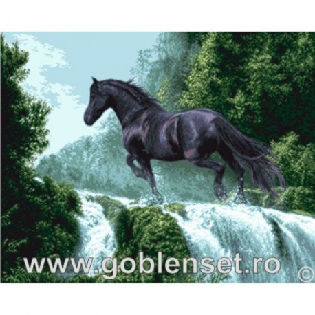 Набір для вишивання гобелен Goblenset G961 Чорний красень фото
