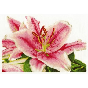 Набор для вышивания крестом DMC BK1337 Stargazer Lily (Идеальная лилия)