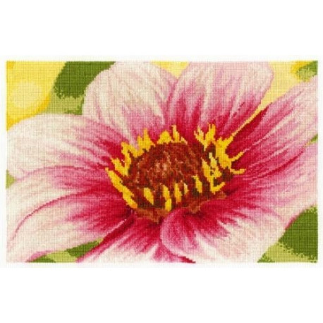 Набір для вишивання хрестом DMC BK1340 Pink Dahlia (Рожева