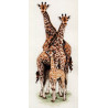 Набор для вышивания Anchor PCE740 Giraffe Family /Семья жирафов