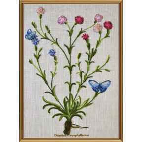 Набор для вышивания нитками Нова Слобода ЕМ-4021 Ботаника. Гвоздика травянка
