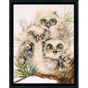Набор для вышивания Design Works 2781 Owl Trio