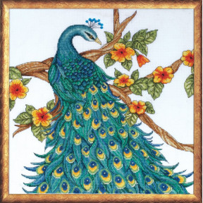 Набор для вышивания Design Works 2808 Peacock