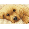 Набор для вышивки крестом Dimensions 65038 Golden Puppy фото