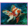 Набор для вышивания Картины Бисером Р-240 Золотая рыбка фото